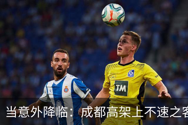 当意外降临：成都高架上不速之客的悲剧